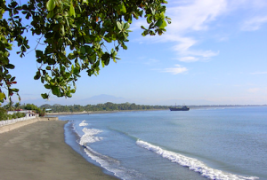 Ocean, beach, blue sky, white railing. in foreground green tree branch